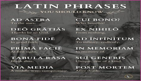 A Profile Of A Latin Beauty