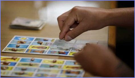 JESUS LOTERÍA Y MÁS Youtuber overview